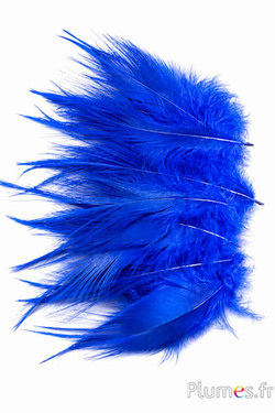 Gru comune - 12-14 cm - blu